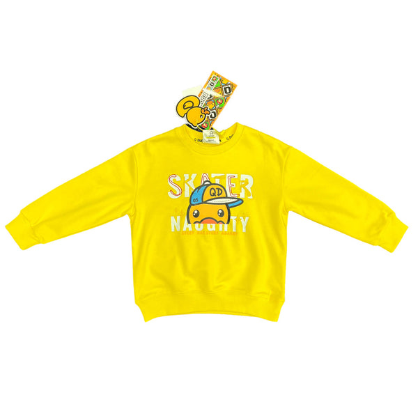 Premium Quality Boy Sweatshirt  AH04919