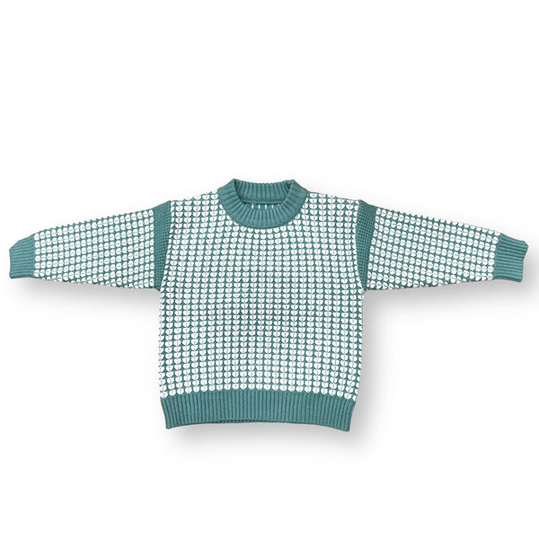 Premium Quality Boy Sweater AH04917